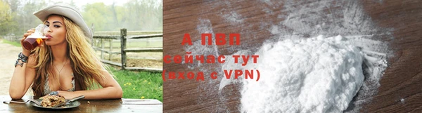 PSILOCYBIN Белоозёрский