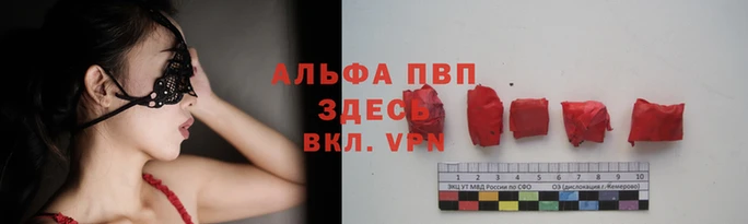 ешки Белокуриха
